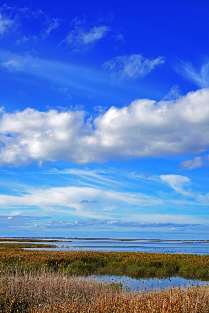 Фотография автора Natallia Kirpichova