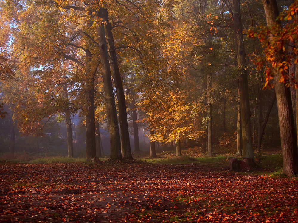 Photograph by Игнатьев Александр