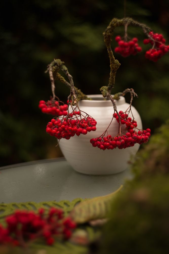 Photograph by Оксана Корепанова