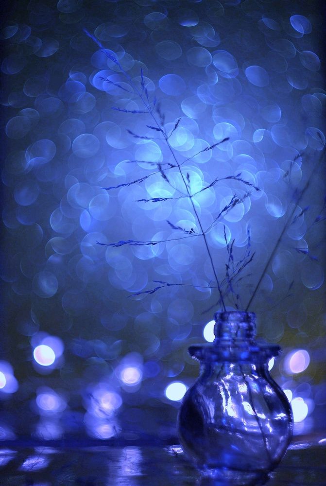 Photograph by Светлана Лехмус