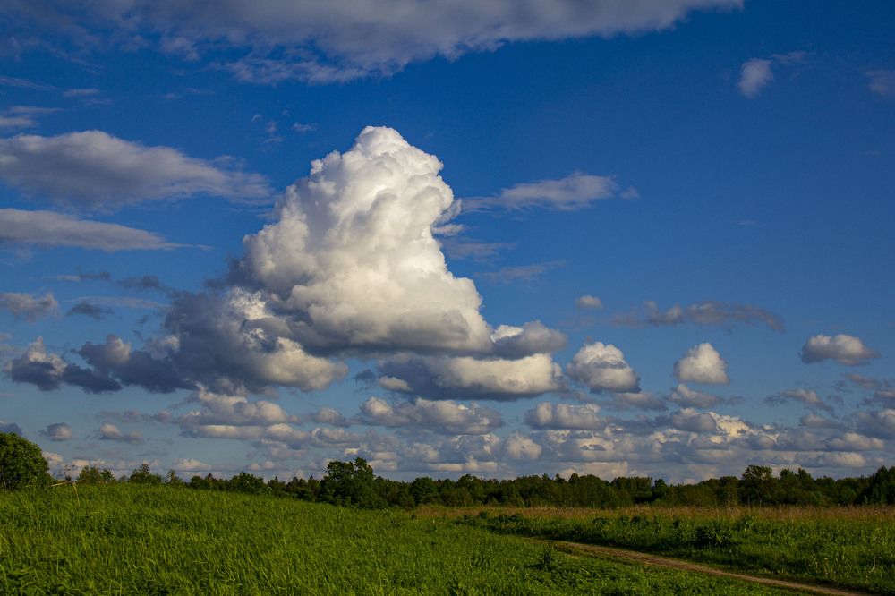 Photograph by Дмитрий Селицкий