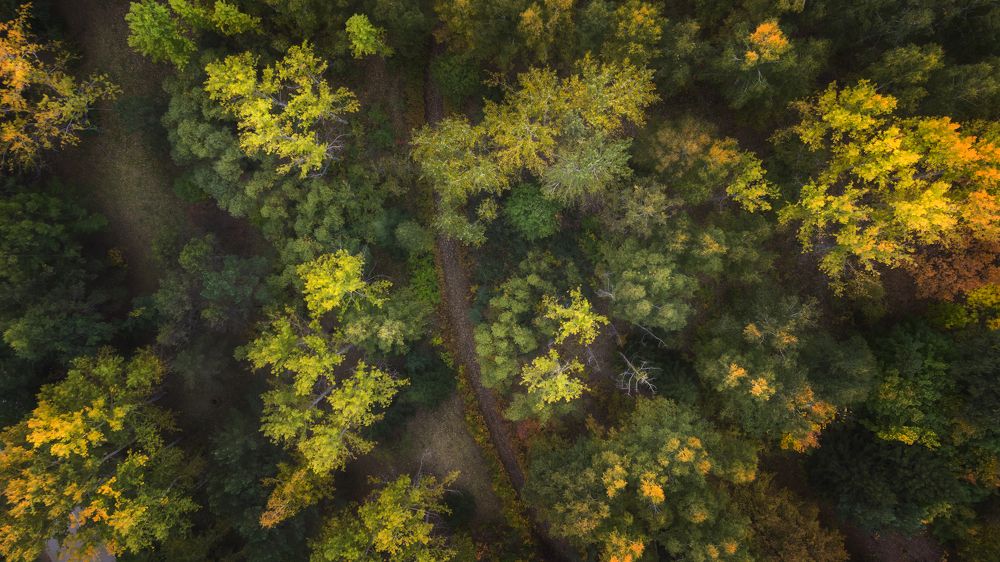 Photograph by Мария Камендова