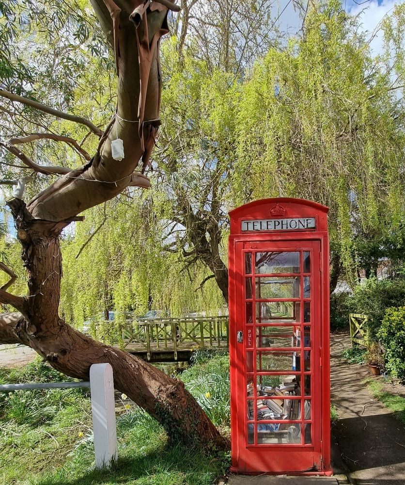 Фотография автора Elvira Cutler