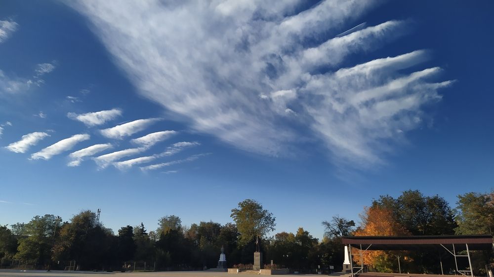 Фотография автора Наталья Алексеева