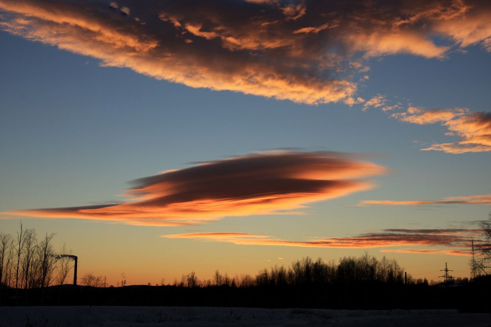 Фотография автора Nelya  Lysenko