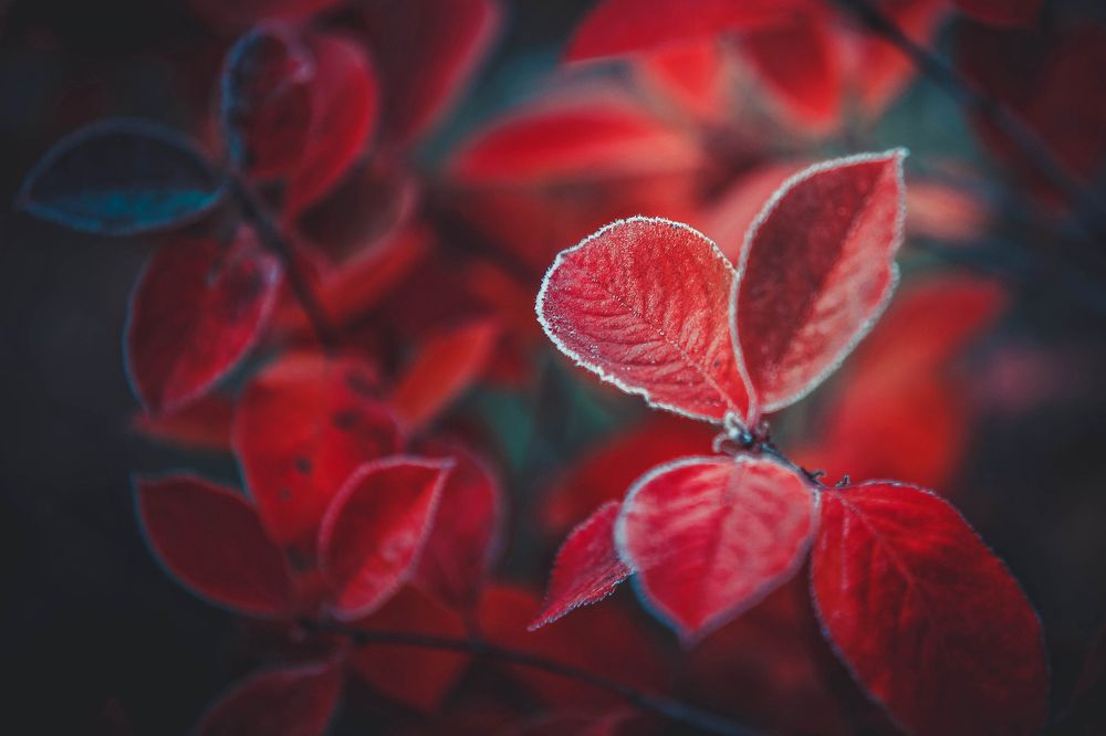 Photograph by Игнатьев Александр