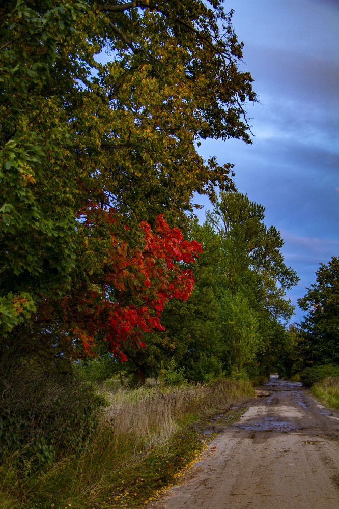 Photograph by Дмитрий Селицкий