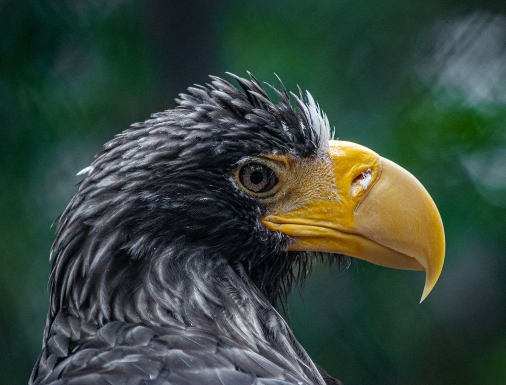 Photograph by Андрей Бобрюк