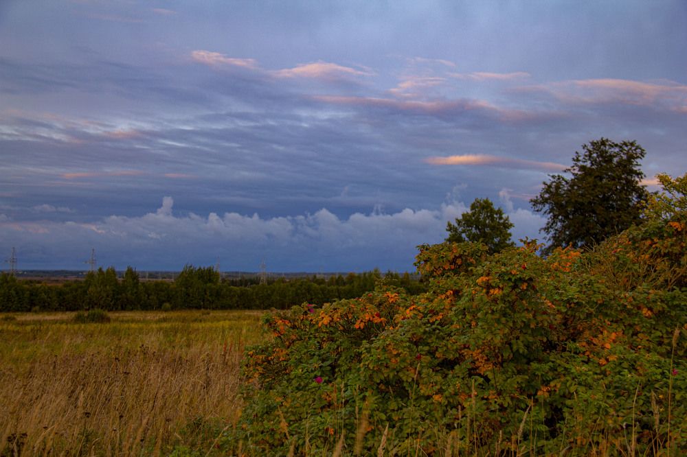 Photograph by Дмитрий Селицкий