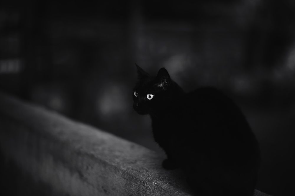 Photograph by Andrew Becker