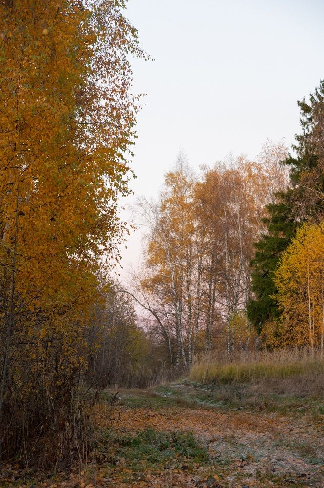 Photograph by Евгения Федорова