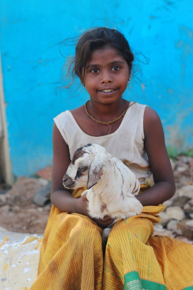 Фотография автора Santhosh Kumar