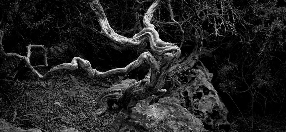 Photograph by Александр Коган