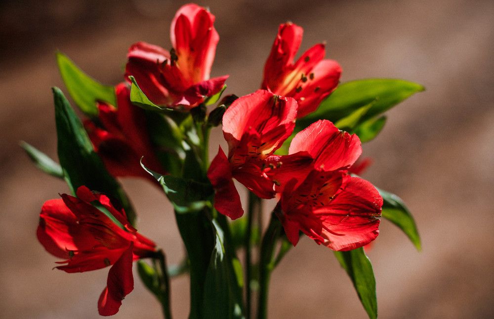 Photograph by Элиза Миникаева