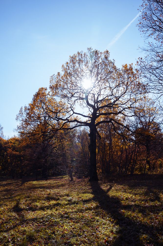 Photograph by Нина Гюрсой