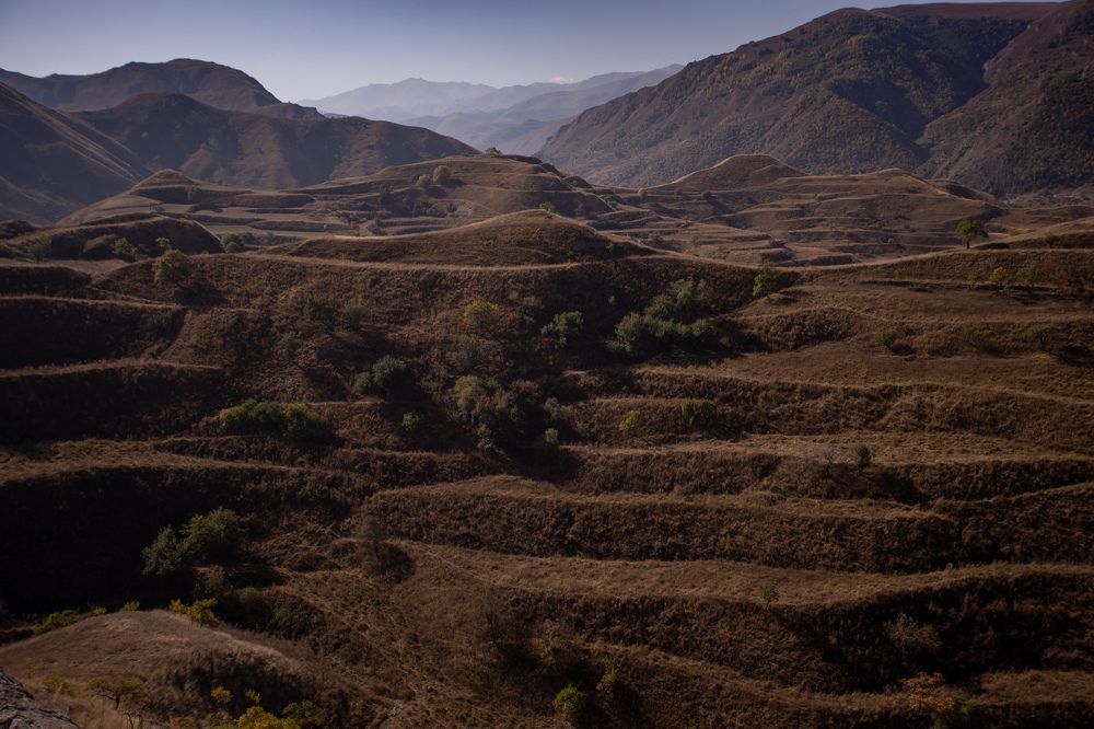 Photograph by Екатерина Долгова