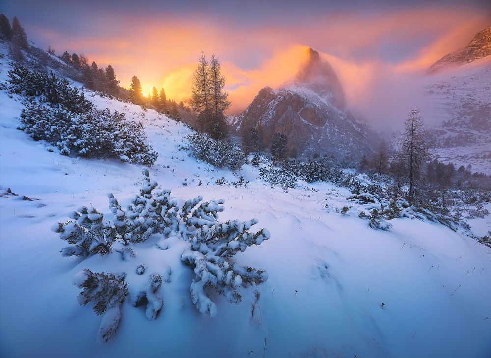 Photograph by Roksolyana Hilevych