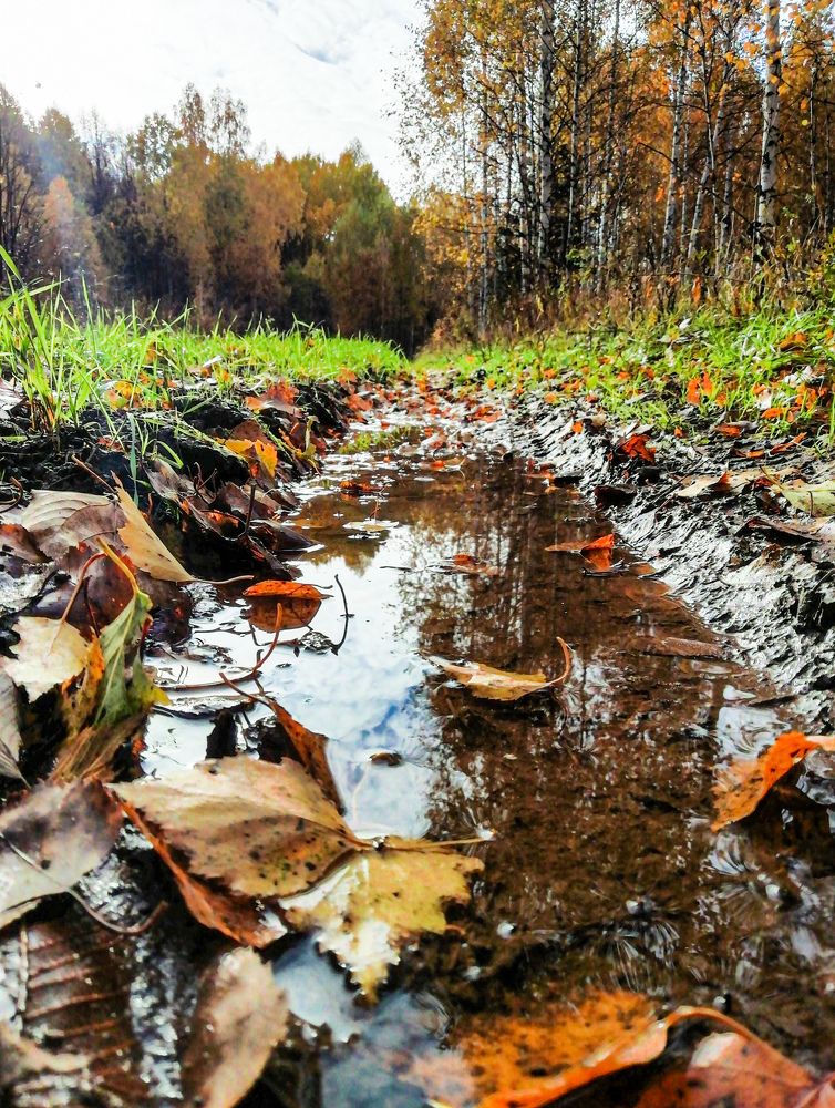Photograph by Зульфия Вакилова