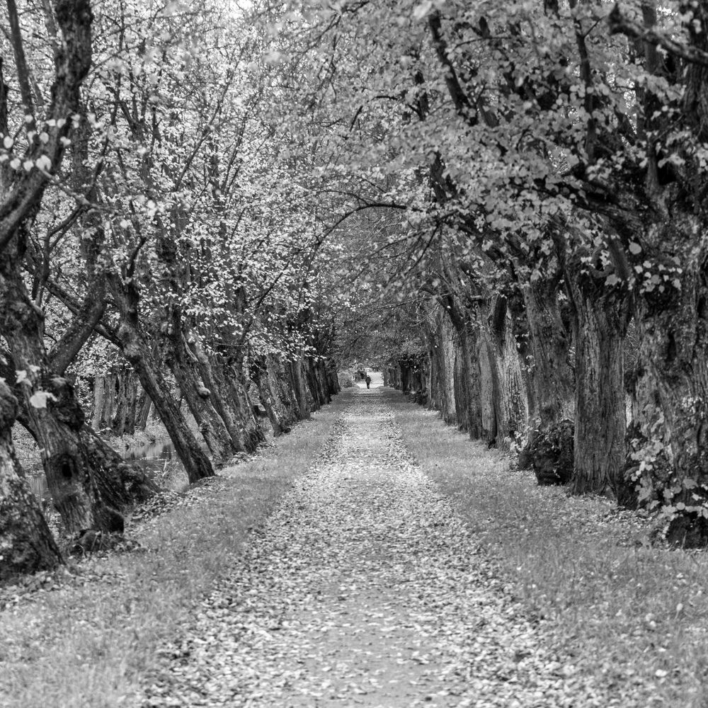 Photograph by Alexander Toropov