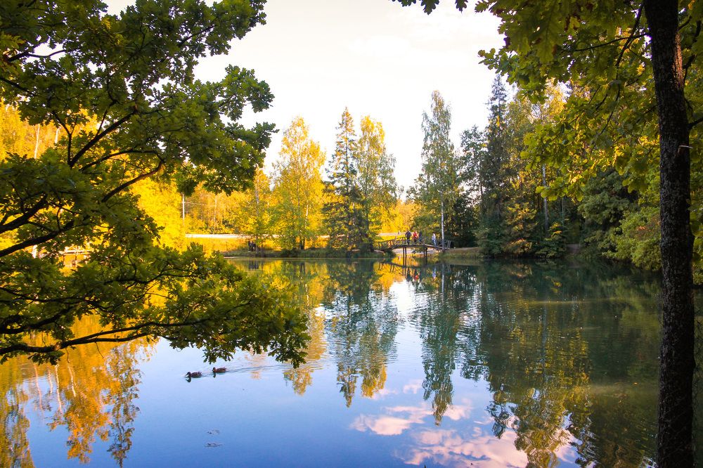 Photograph by Ирина Сороколетова