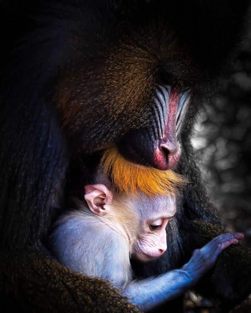 Photograph by David Lerer