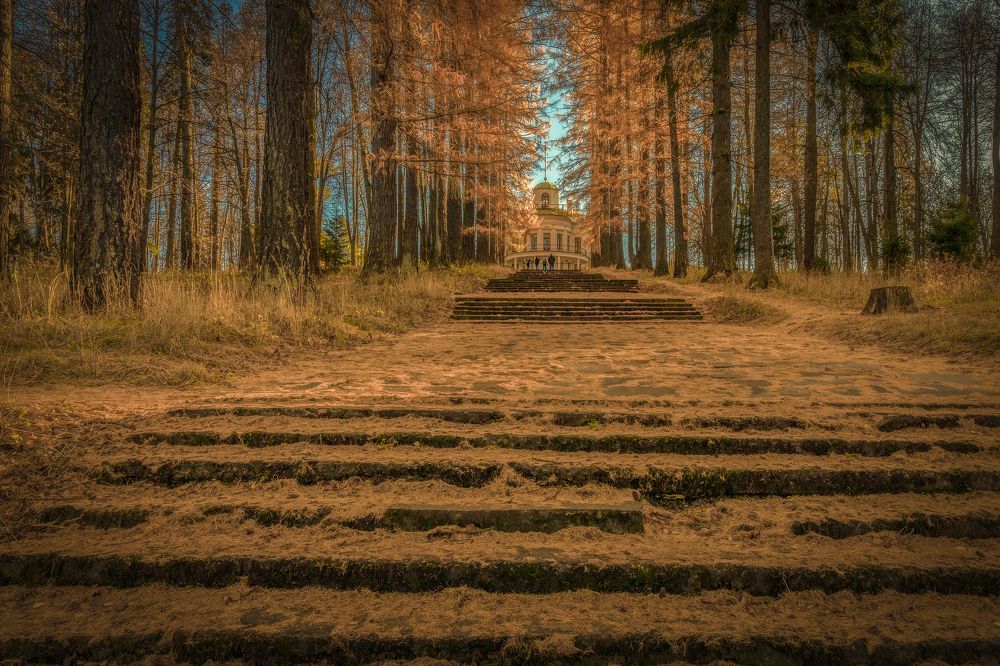 Photograph by Гусева Елена