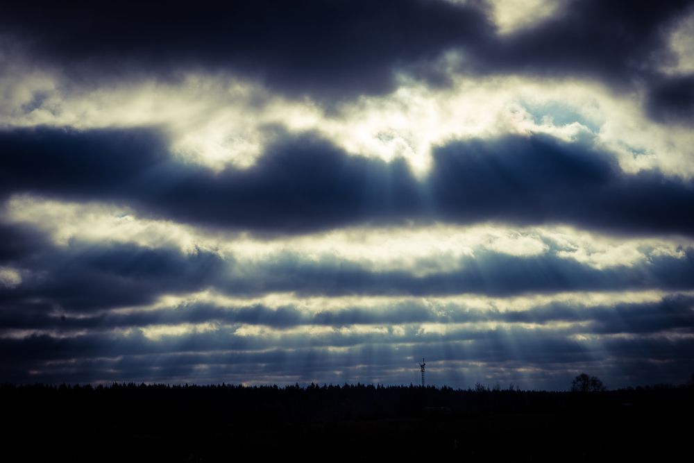 Photograph by Anna Prohorova