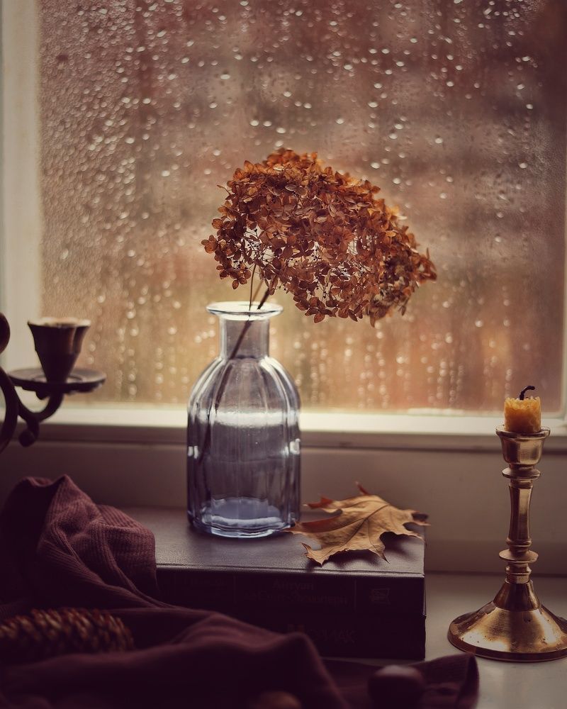 Ноябрьский блюз