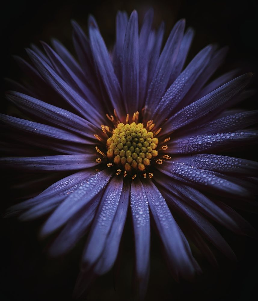 Фотография автора Юра Кладухин