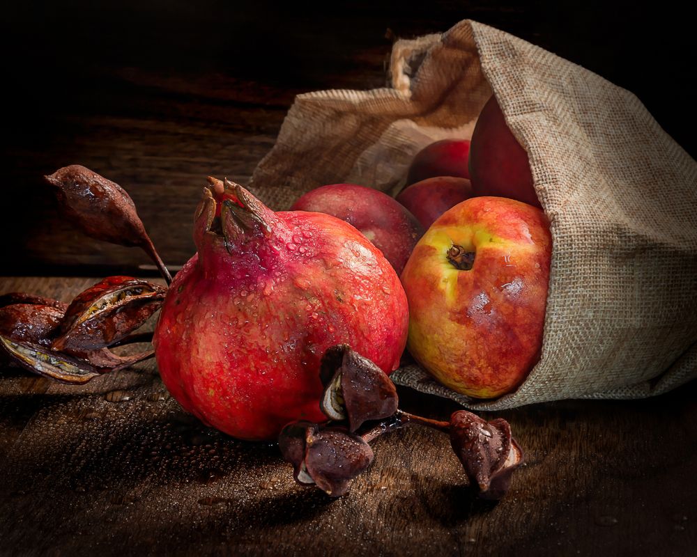 Photograph by David Lerer