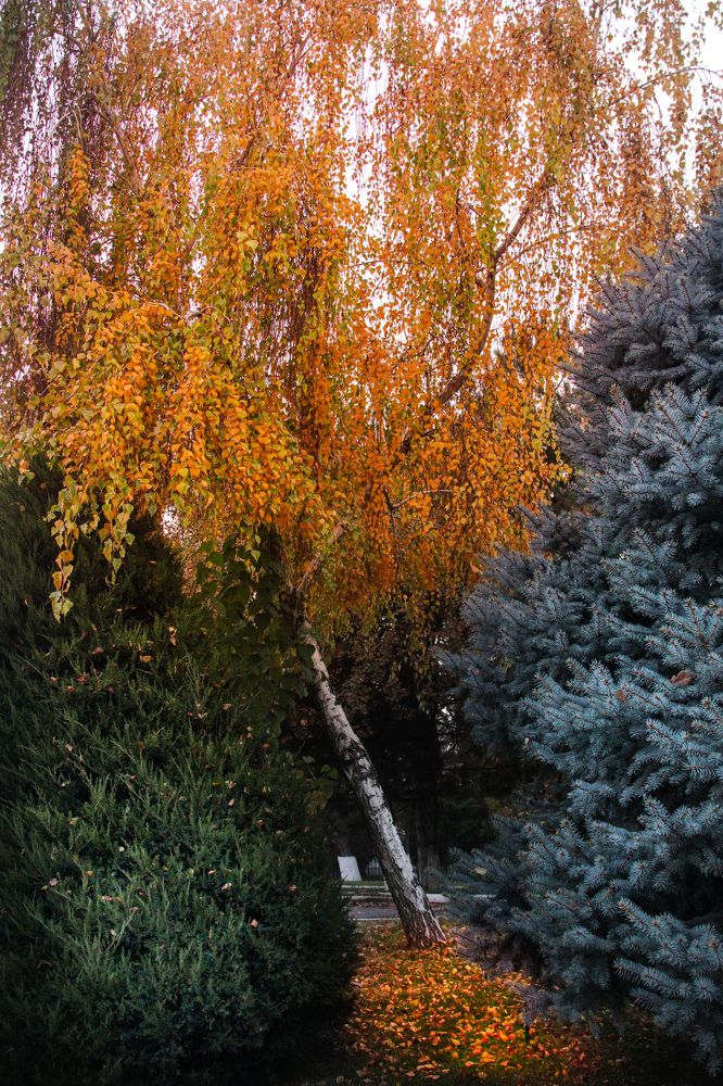 Photograph by Оксана Сафина