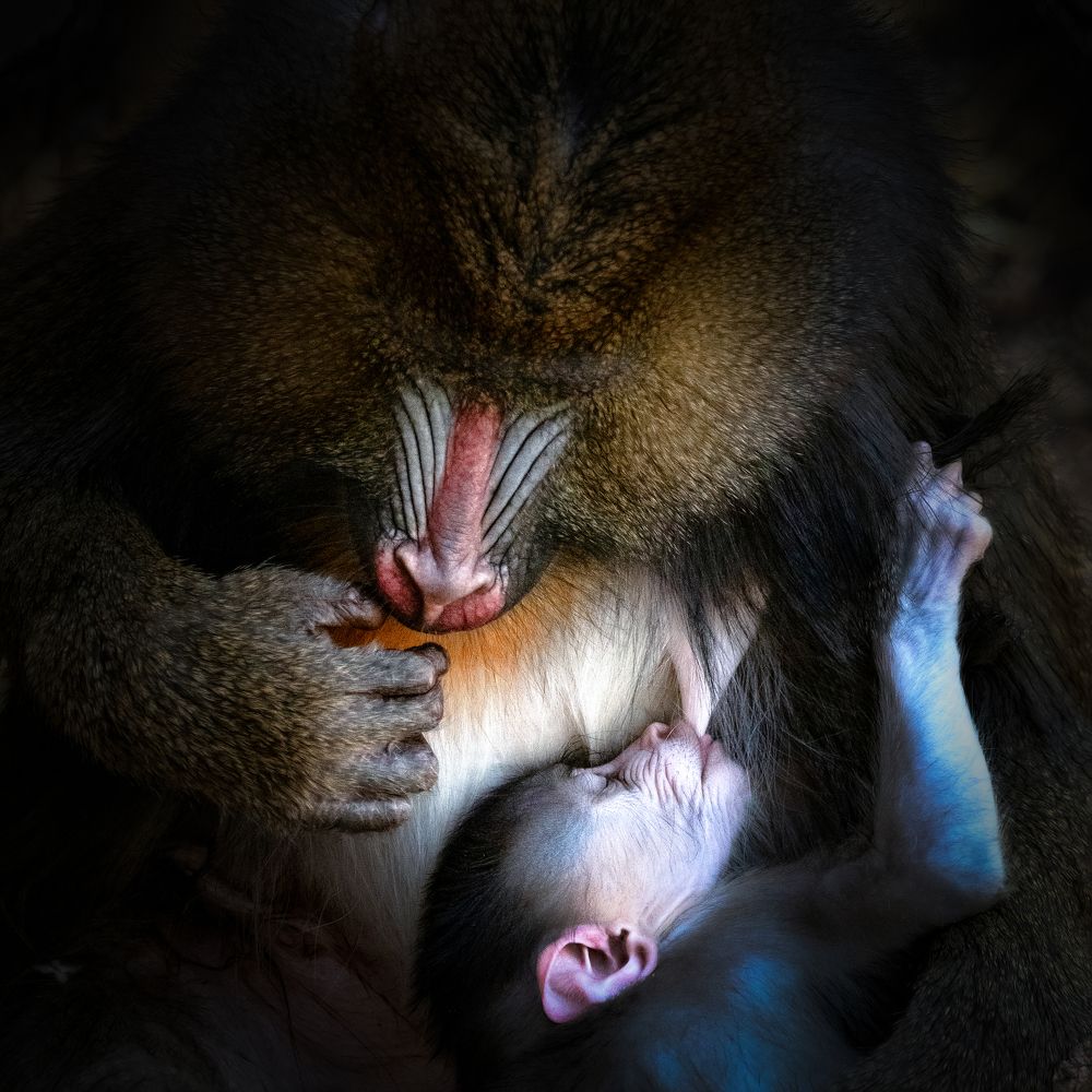 Photograph by David Lerer