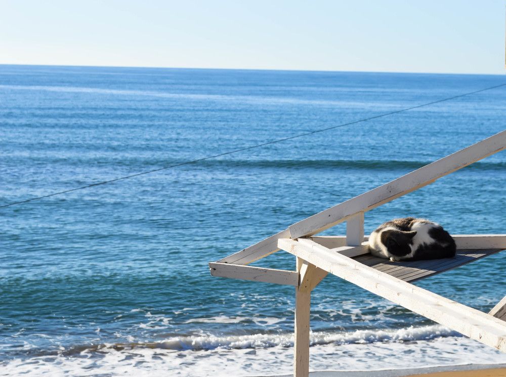 Photograph by Елена