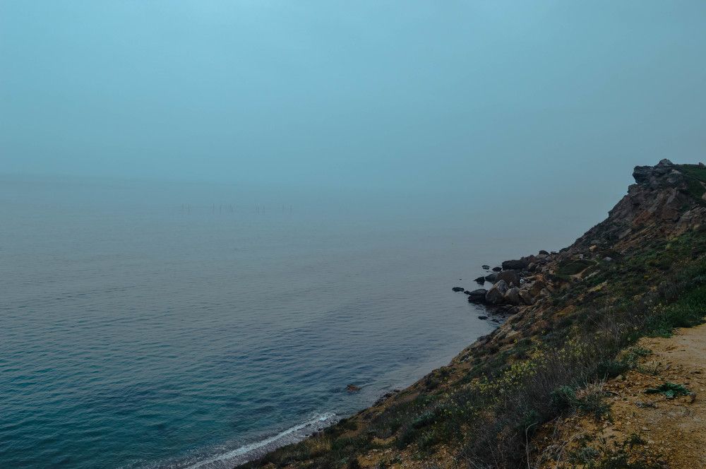 Photograph by Елена