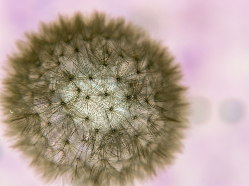 Photograph by Баженова Наталья