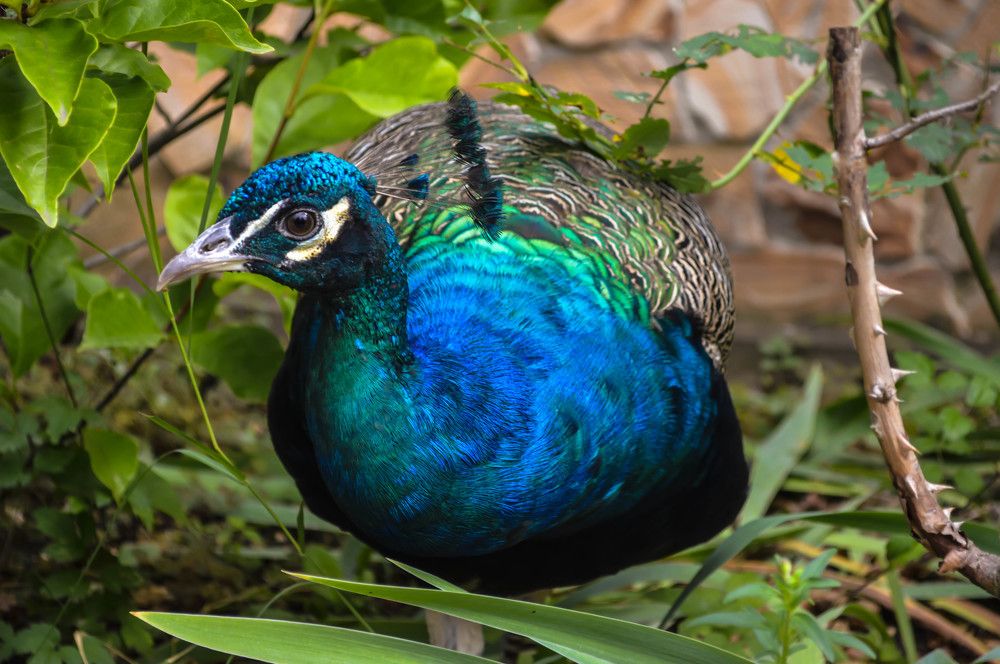 Photograph by Елена