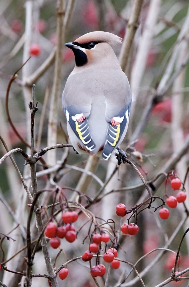 Photograph by Алексей Романов