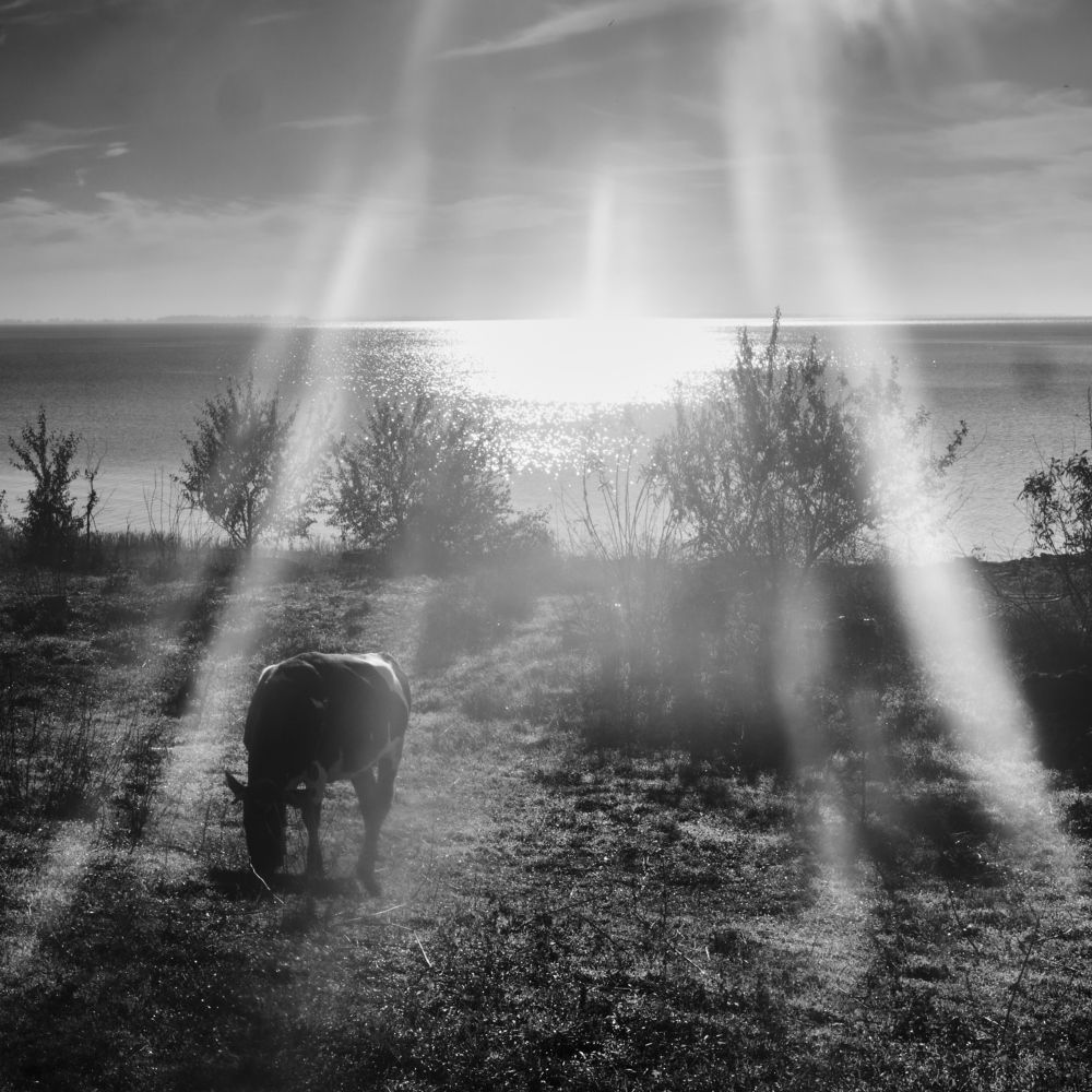 Photograph by Marina Khokhlova