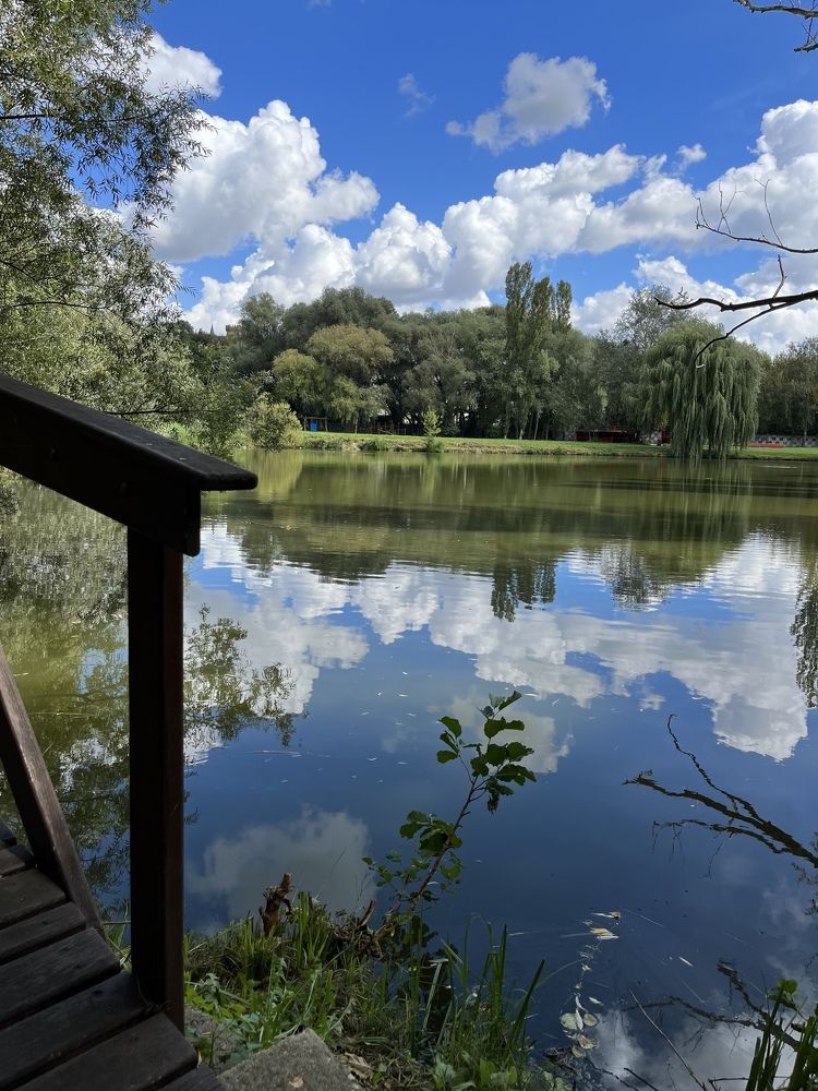 Photograph by Alina Tsilyk