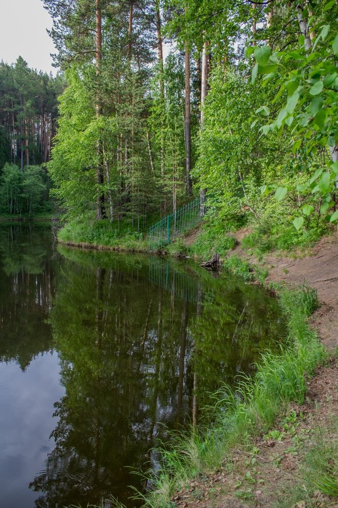 Фотография автора Олеся Юданова