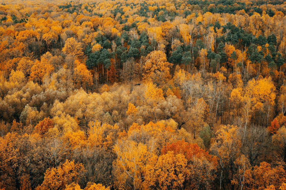 Photograph by Alexey Nikitin