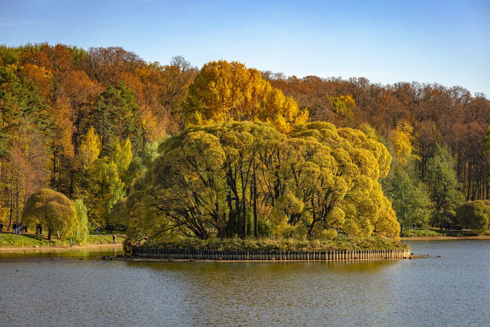 Photograph by Alexey Nikitin