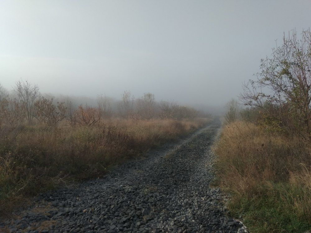 Дорога в туман