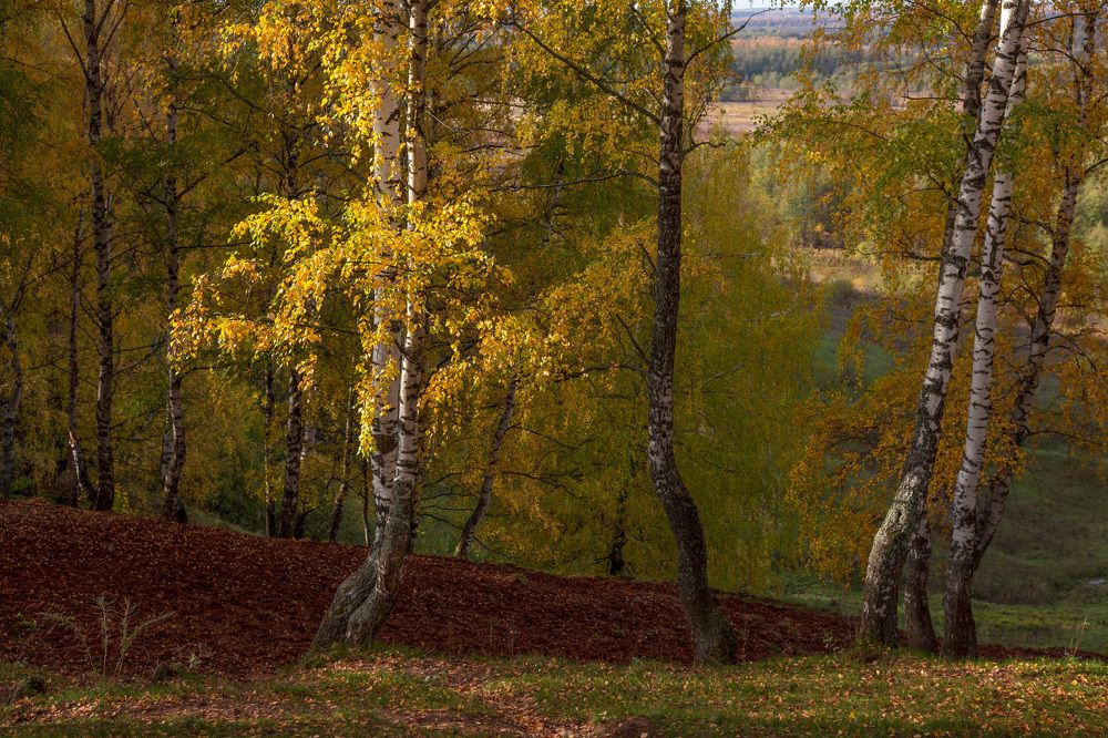 Photograph by Дмитрий Алексеев