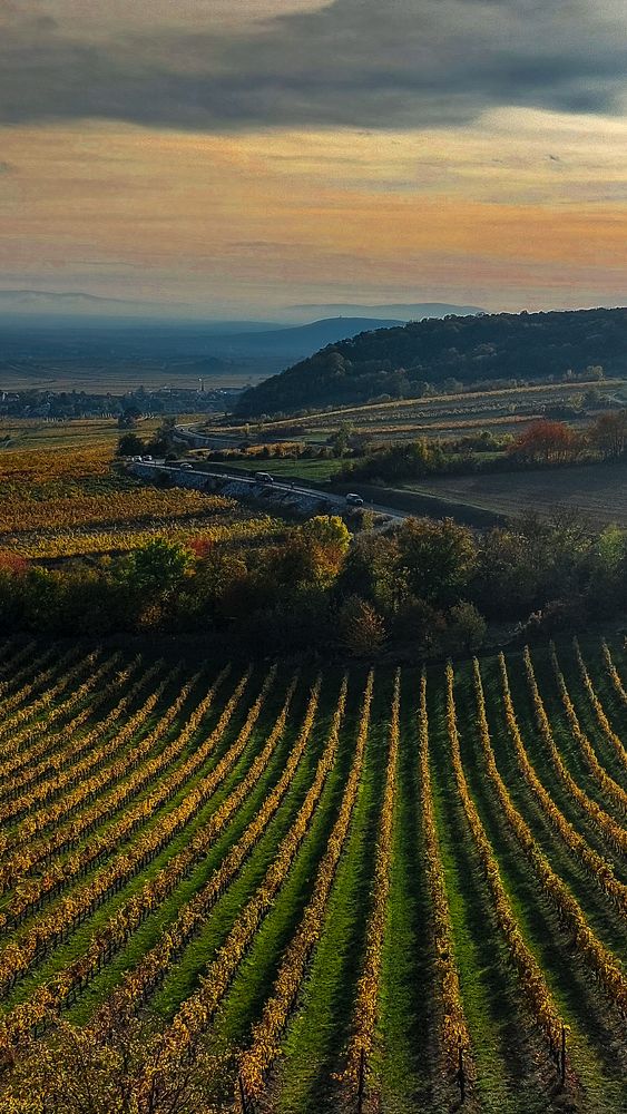 Photograph by Yuri Merkulov