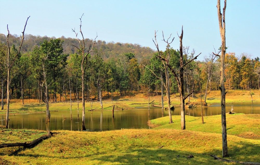 Photograph by ANISH BISWAS