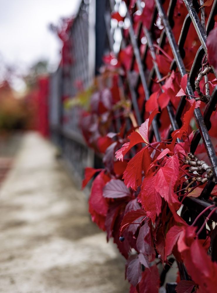 Photograph by Ксения Шейкина