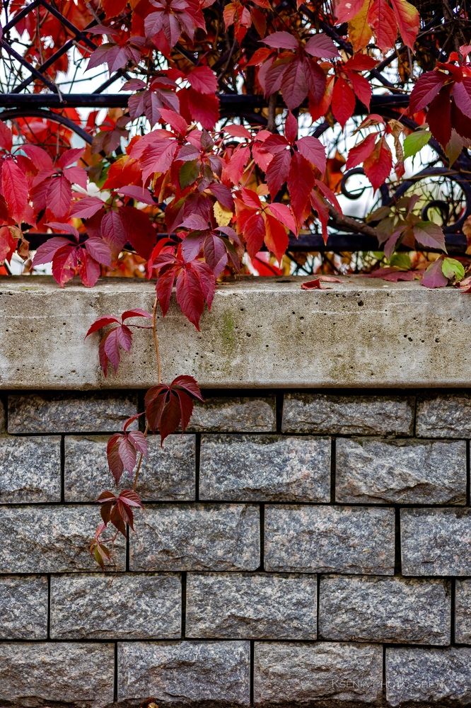 Photograph by Ксения Шейкина