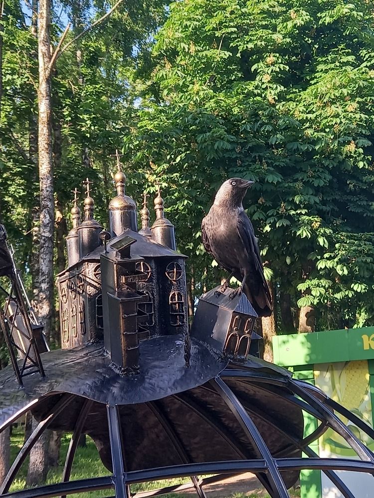 Photograph by Ольга Юрченко