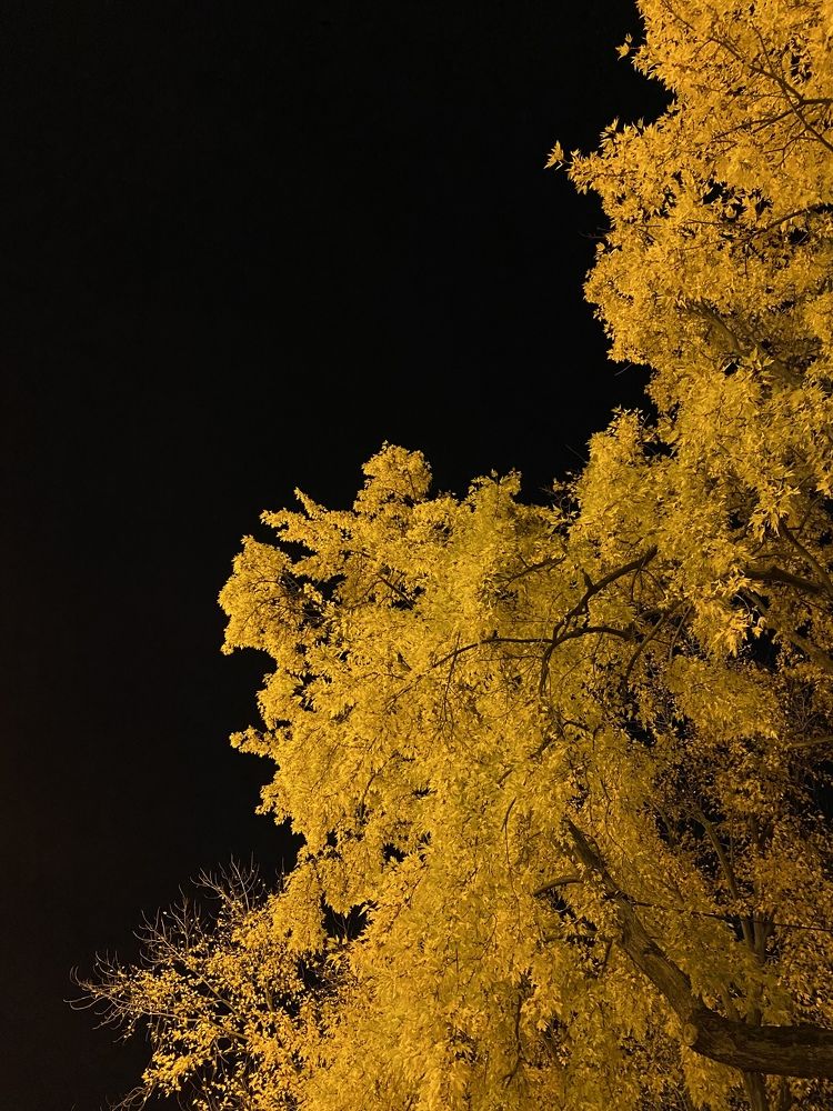 Photograph by Марина